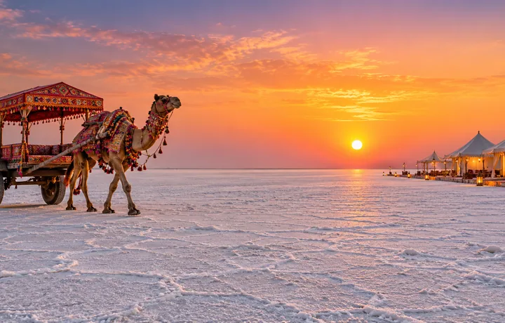 Little Rann of Kutch Gujarat destination
